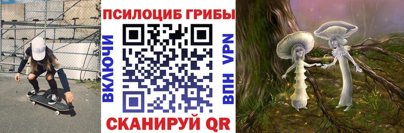 где можно купить   Инза  Псилоцибиновые грибы мицелий 